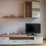 Central + Free Parking Spot Apartmán Fulpmes